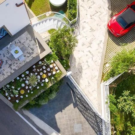 Agave * Sant'Agnello