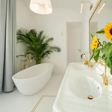 Agave * Sant'Agnello